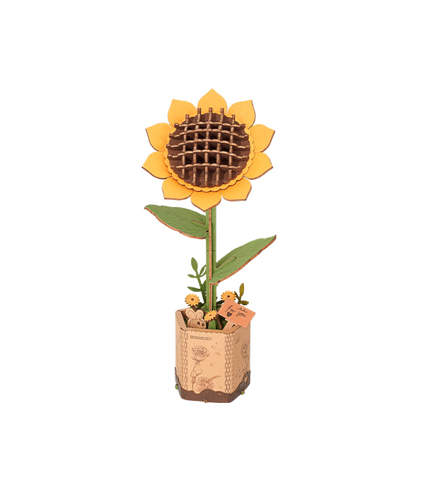 Sunflower / Sonnenblume