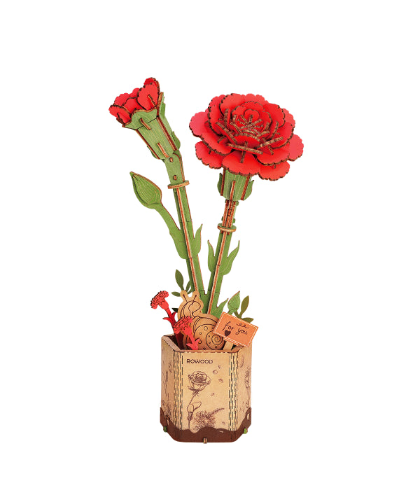 Red Carnation / Rote Nelke