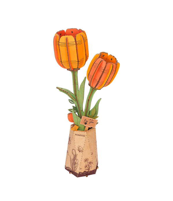 Orange Tulip / Orangene Tulpe