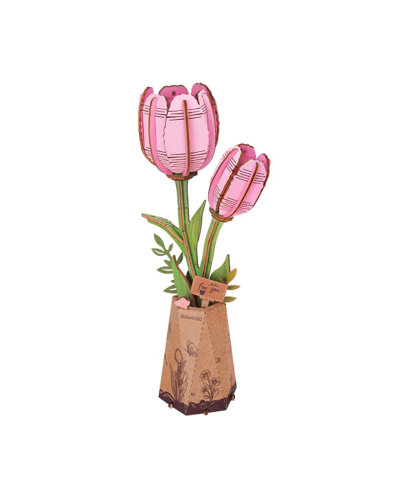 Pink Tulip / Pinke Tulpe