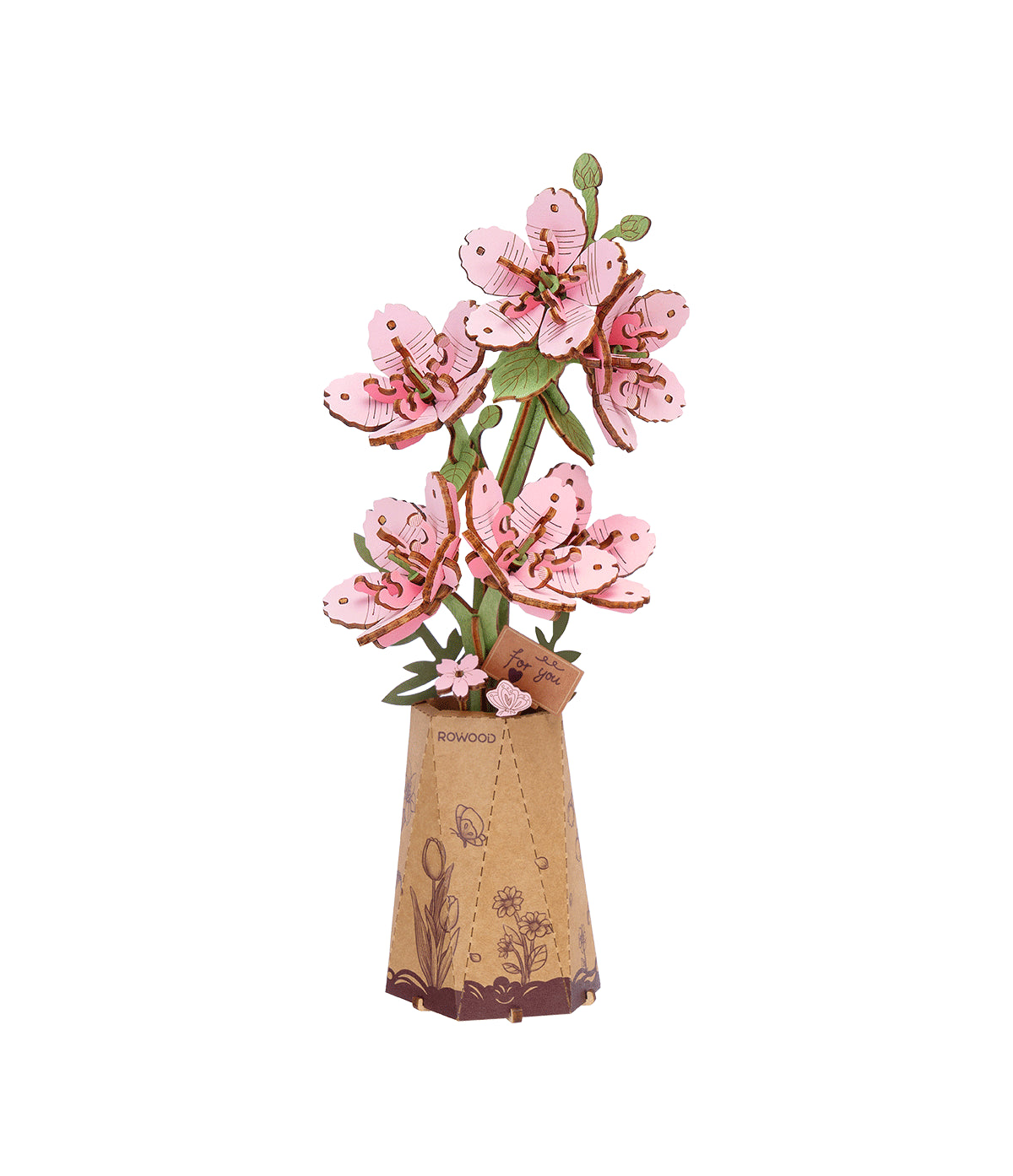 Sakura / Kirschblüte