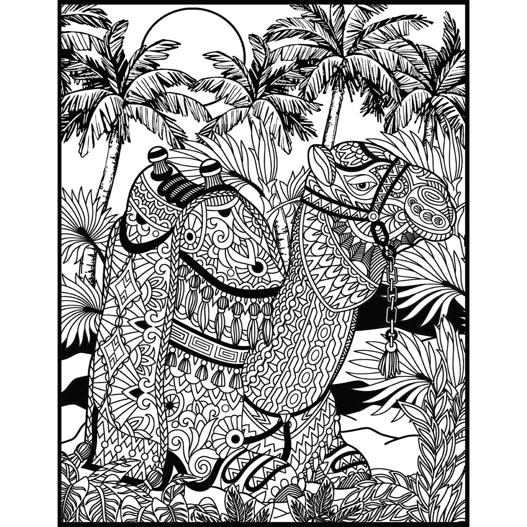 Samtausmalbild KAMEL 47 x 35 cm