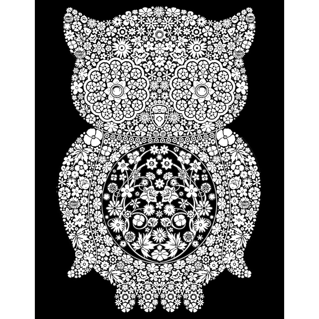 Samtausmalbild EULE 47 x 35 cm