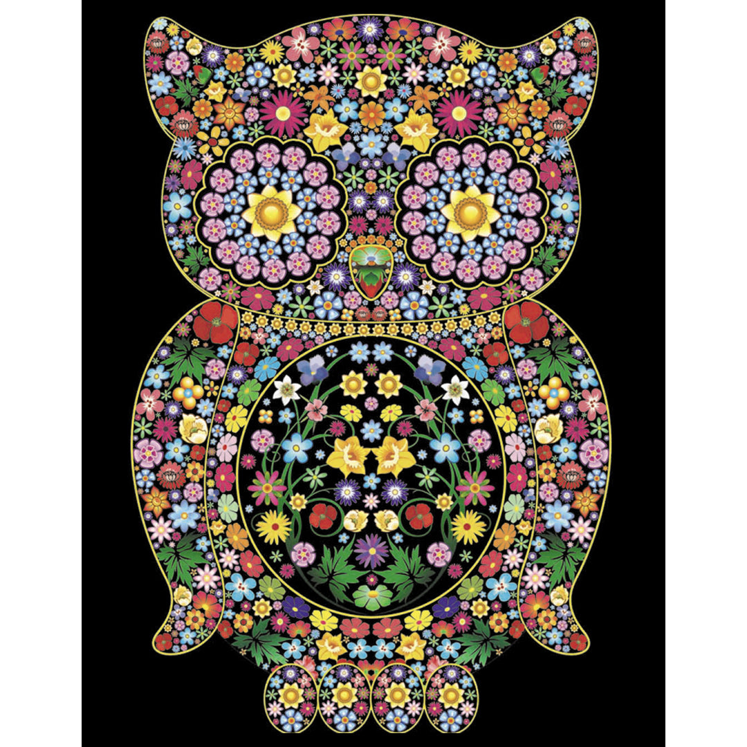 Samtausmalbild EULE 47 x 35 cm