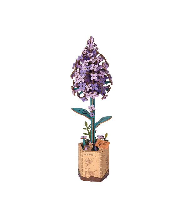 Lilac / Flieder