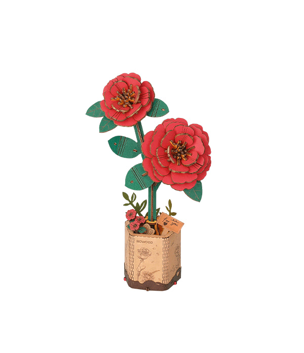 Red Camellia / Rote Kamelie