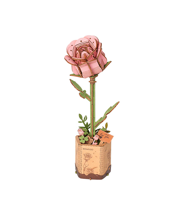 Pink Rose / Pinke Rose
