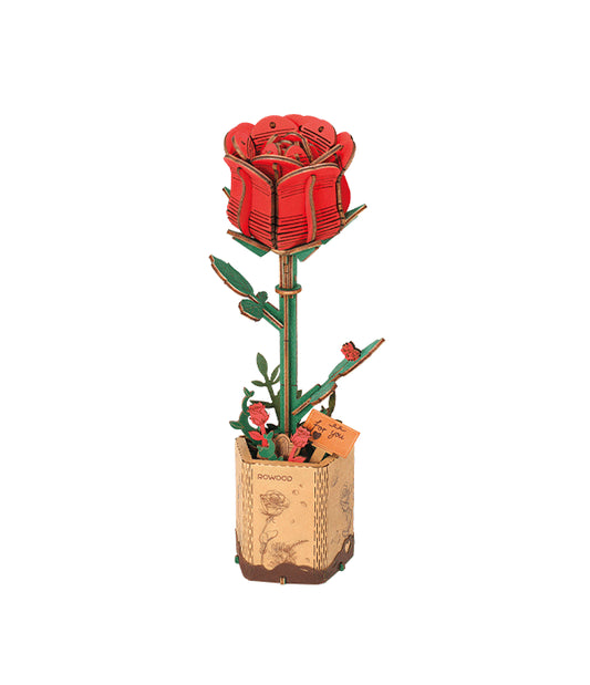Red Rose / Rote Rose