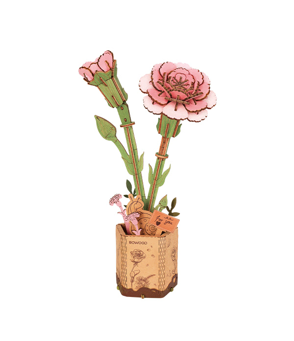 Pink Carnation / Rosa Nelke