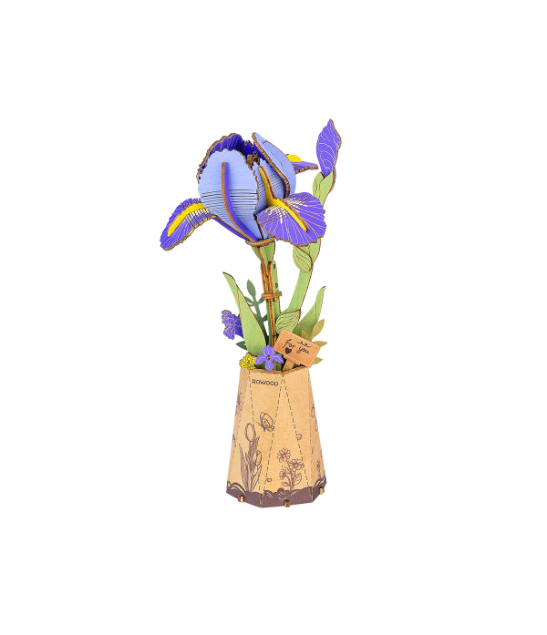 Purple Iris / Lila Iris